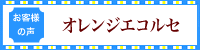 お客様の声　オレンジエコルセ