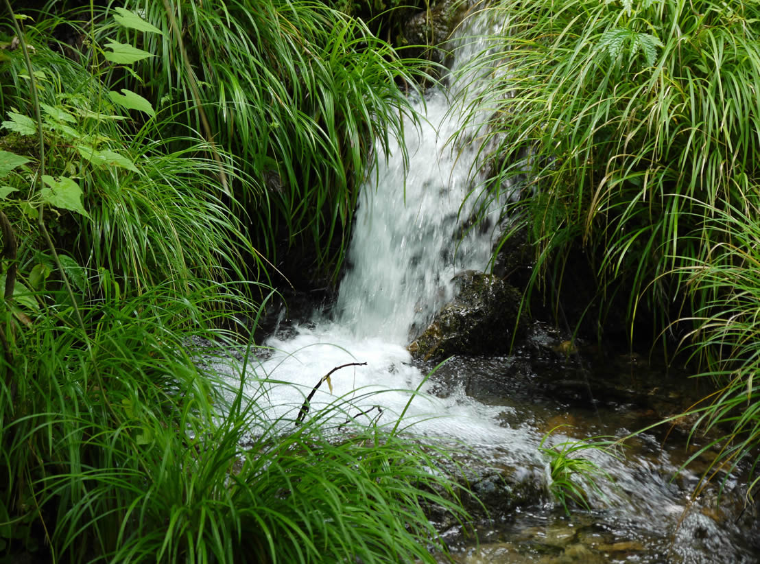 素材のこだわり　水