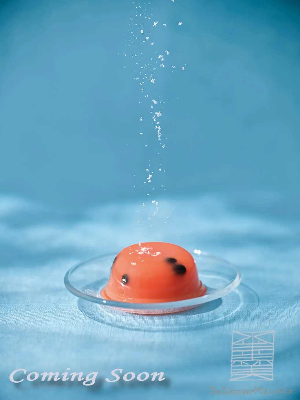 夏の涼菓　高砂水羊羹