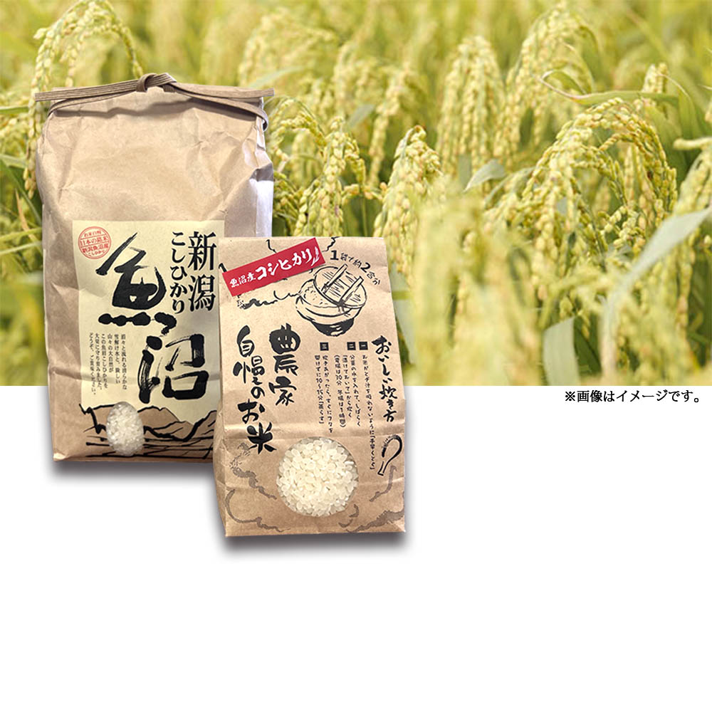 稲穂画像